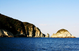 동백군락 아동도(冬柏群落 兒童島) 이미지