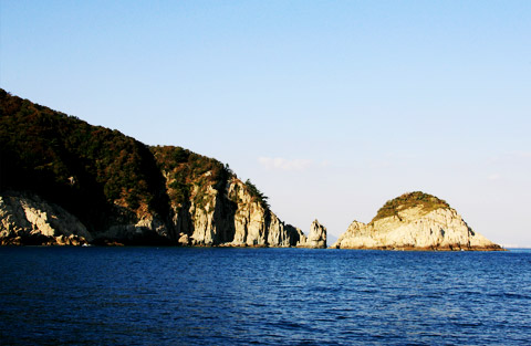 Camellia grouping Ahdong island