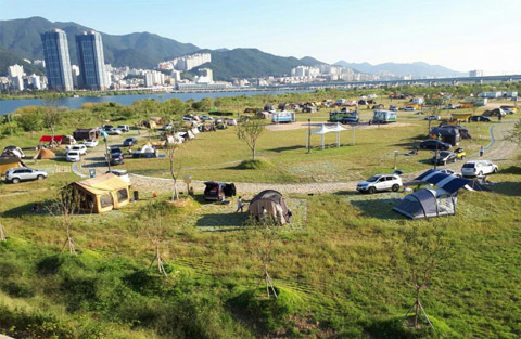 대저생태공원캠핑장 사진